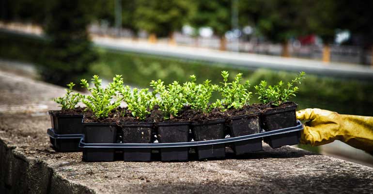 Lantania obtiene el sello ´Calculo y Compenso´ y avanza en su compromiso con el clima