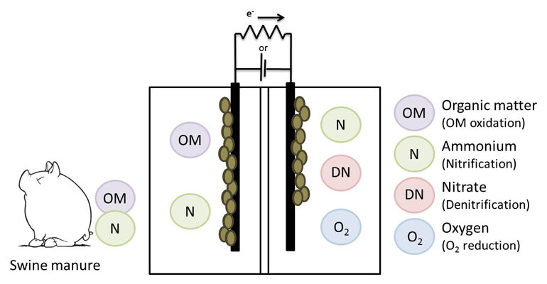 lequia-tesis-sistemas-bioelectroquimicos-tratamiento-purines