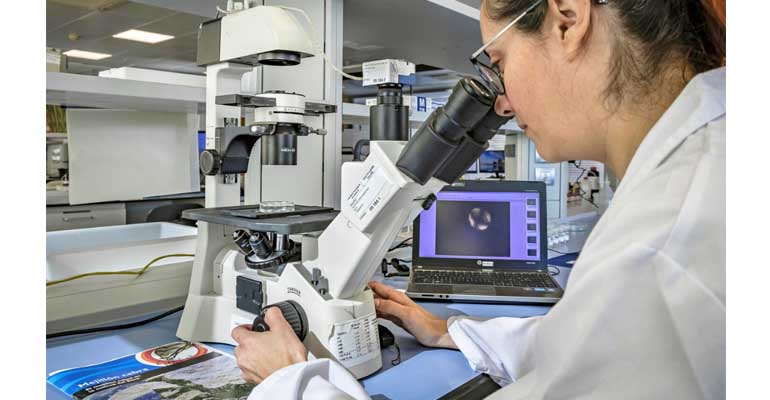 Laboratorios Tecnológicos de Levante, primer laboratorio acreditado para la detección de mejillón cebra mediante ADN ambiental