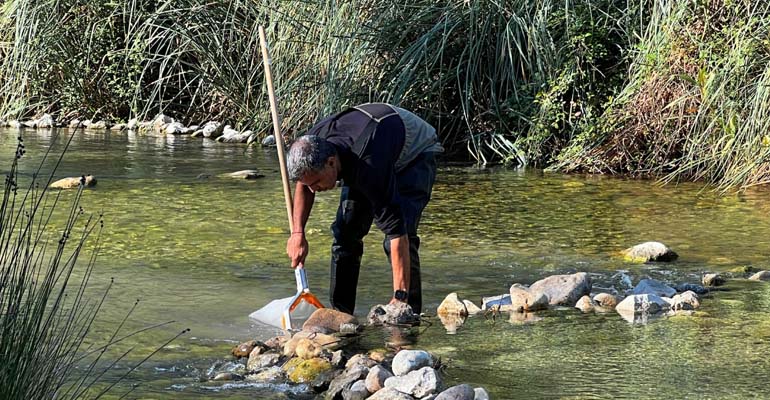 ltl-ejercicio-interlaboratorio-macroinvertebrados