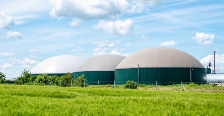 miteco-hoja-ruta-biogas-aprobada