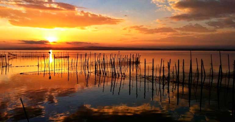 Albufera de Valencia