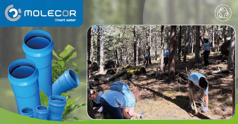 Molecor pone en marcha su programa de voluntariado corporativo con una primera acción de conservación ambiental