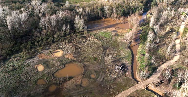 Nestlé colabora con el Consorci del Ter en la restauración de zonas húmedas que favorecen la biodiversidad fluvial