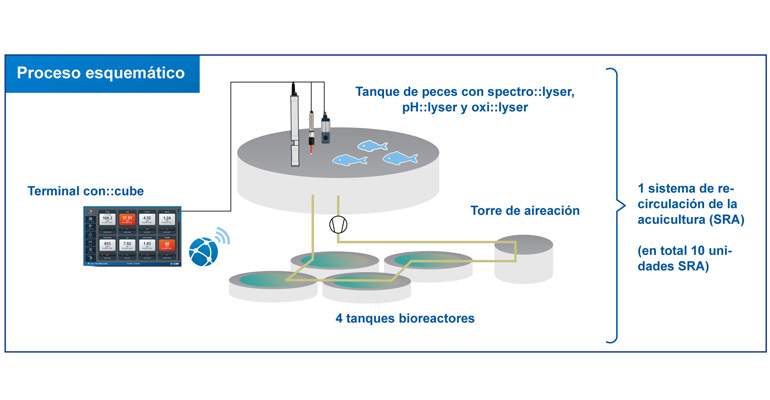 procesos-sistemas-scan-monitorizacion-calidad-agua-sistemas-recirculacion-acuicultura-esquema