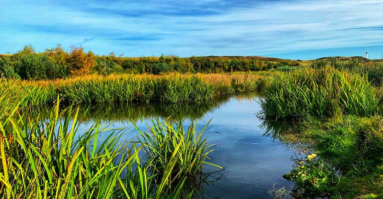 reportaje-emacsa-humedales-tratamiento-aguas-residuales-urbanas