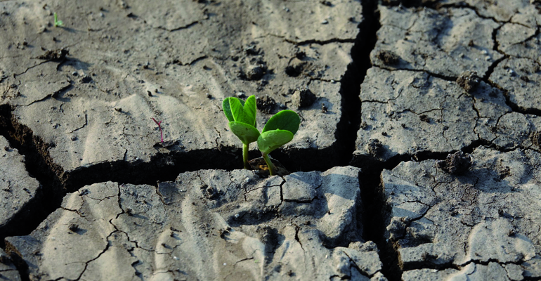 reportaje-watener-combatiendo-sequia-inteligencia-artificial-agua-potable