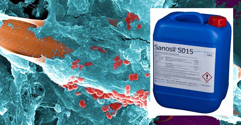 El desinfectante Sanosil S015 provoca la muerte celular de la bacteria Pseudomonas aeruginosa 