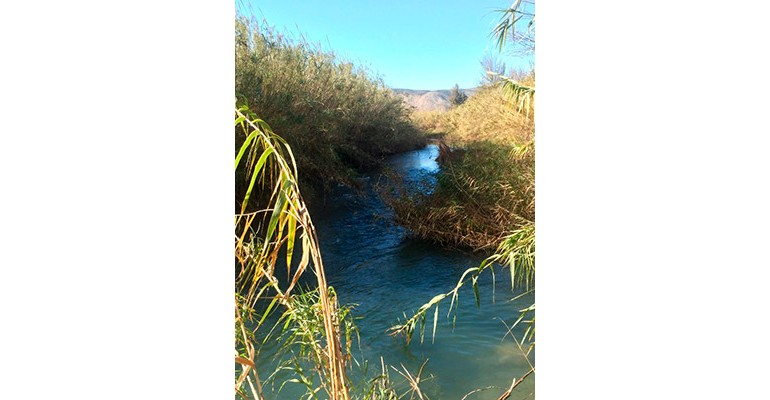 upv-fibernova-red-sensores-calidad-agua-rios