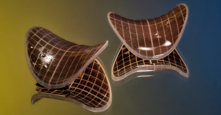 veolia-water-soportes-plasticos-diseno-3d-tecnologia-lecho-movil