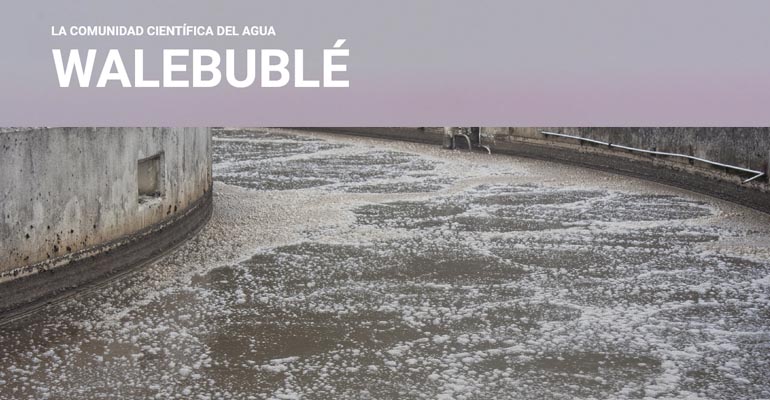 walebuble-formacion-agua-descuento