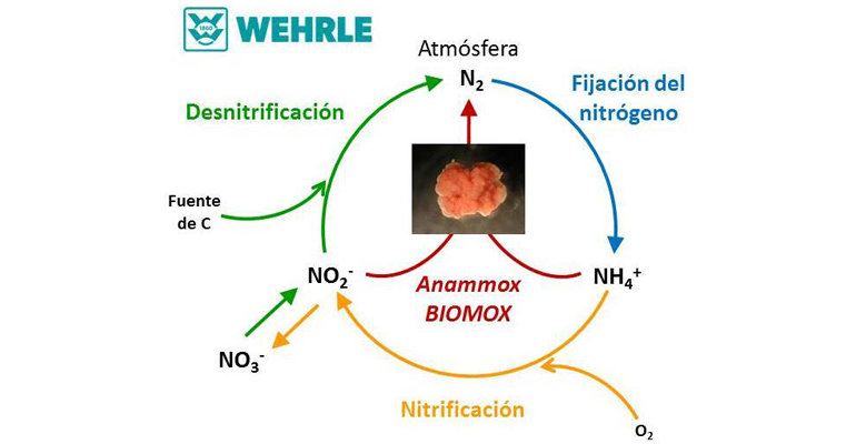 wehrle-implanta-tecnologia-biomox-tratamiento-escurridos-estacion-depuradora-aguas-residuales-badajoz